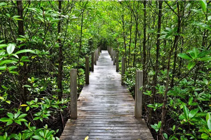 Nature preserve in Cape Coral, Florida