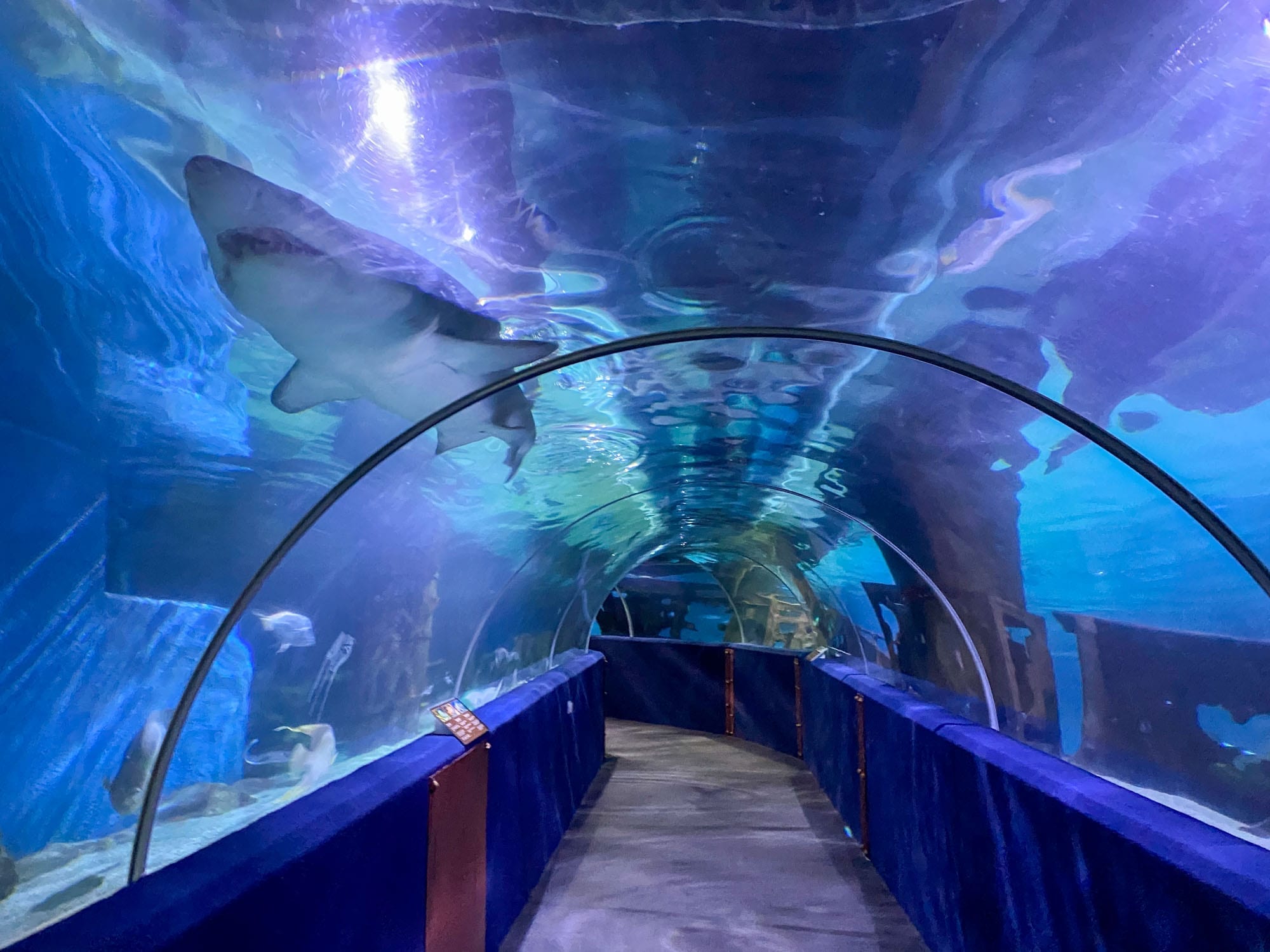 Greater Cleveland Aquarium