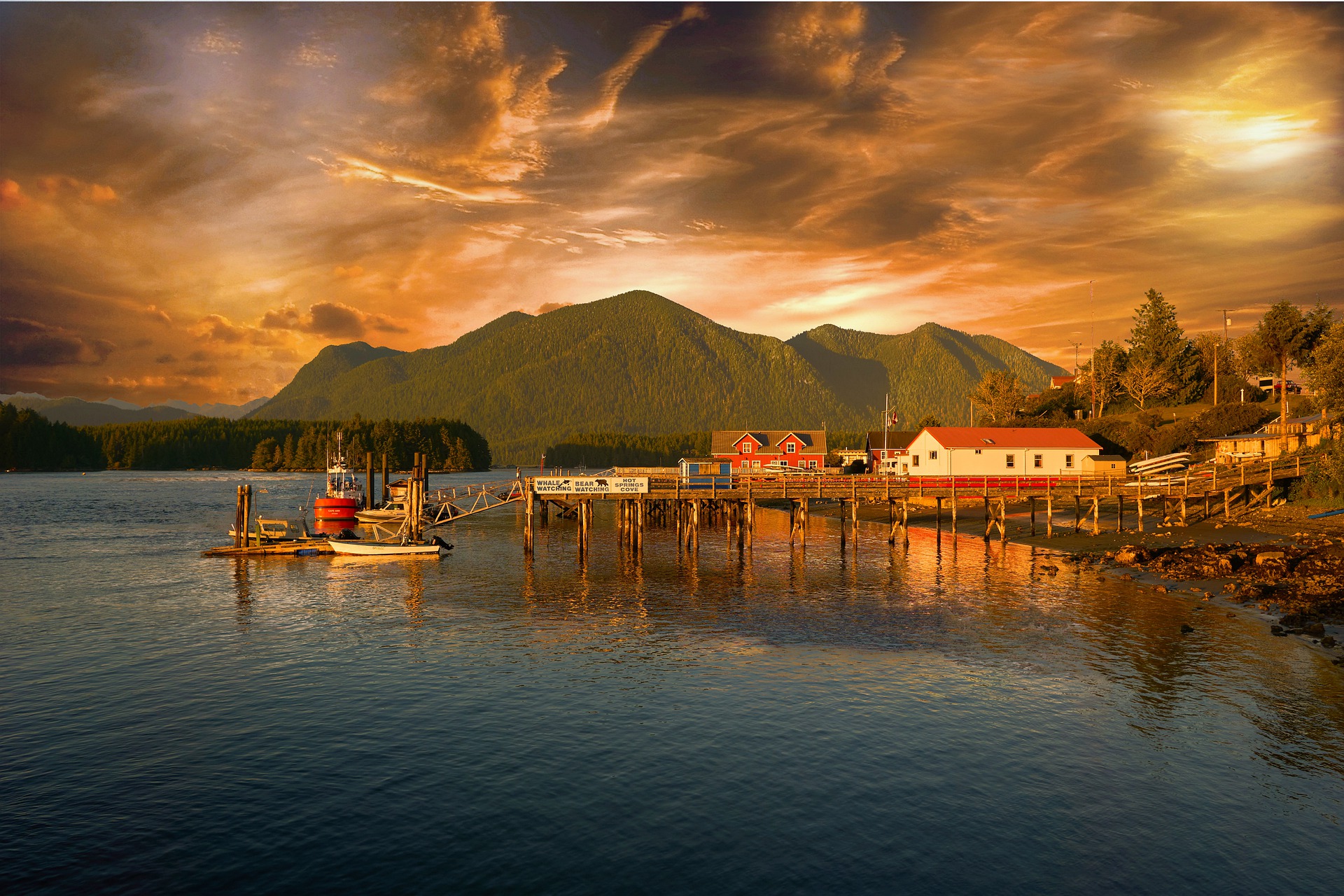 Town In Vancouver Island, Canada