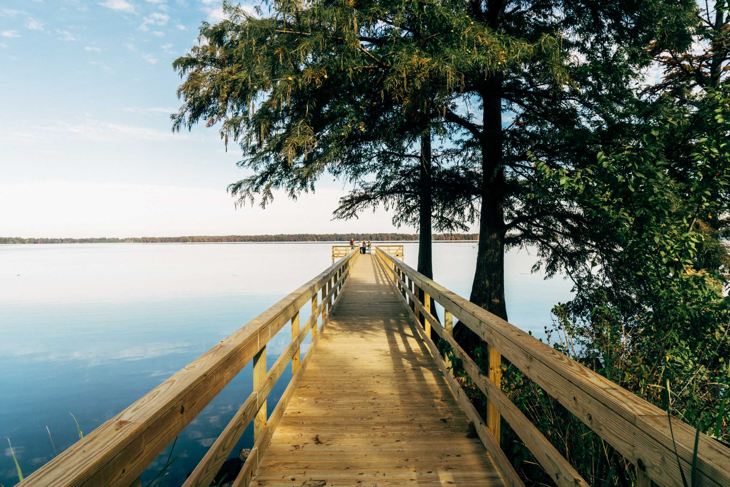 Reelfoot Lake State Park In Tiptonville, Tennessee.