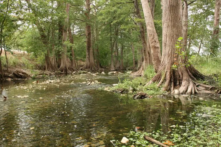 Nature Preserve In Boerne, Texas