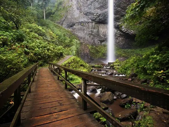 Waterfall In Oregon