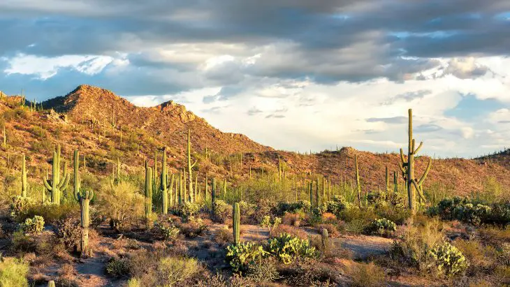 National Park In Arizona
