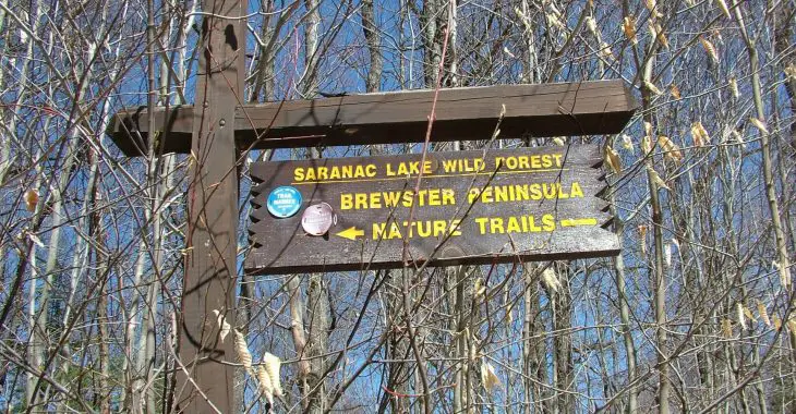 Hiking Area In New York State