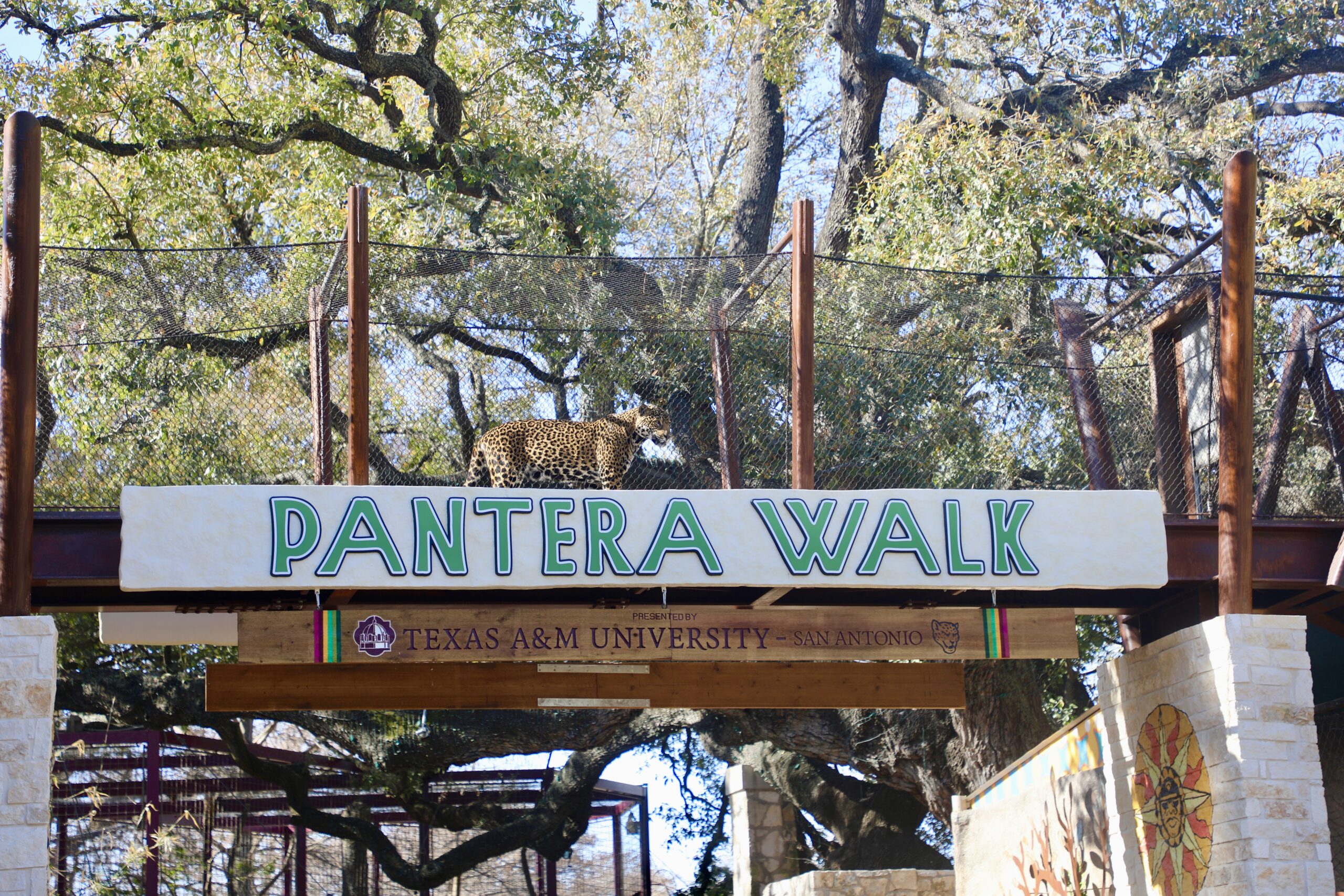 The Pantera Walk exhibit at the zoo. This elevated trail allows the zoo's jaguars to roam freely between two habitats.
